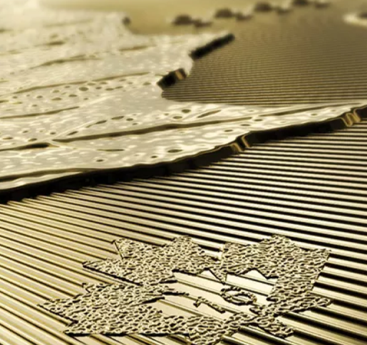 Close up of a gold bullion coin