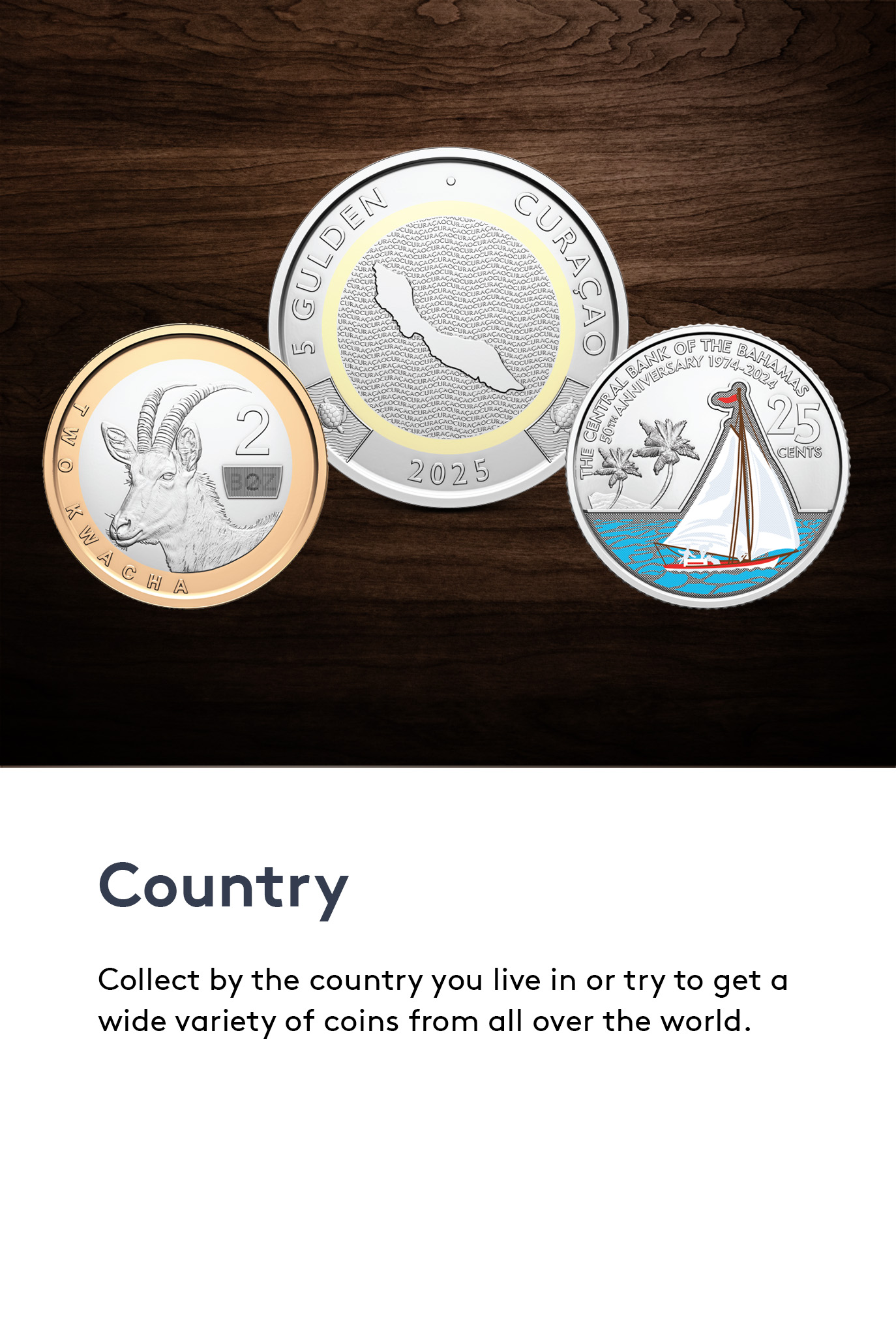 Serving countries worldwide with our production, distribution, and commercial expertise.