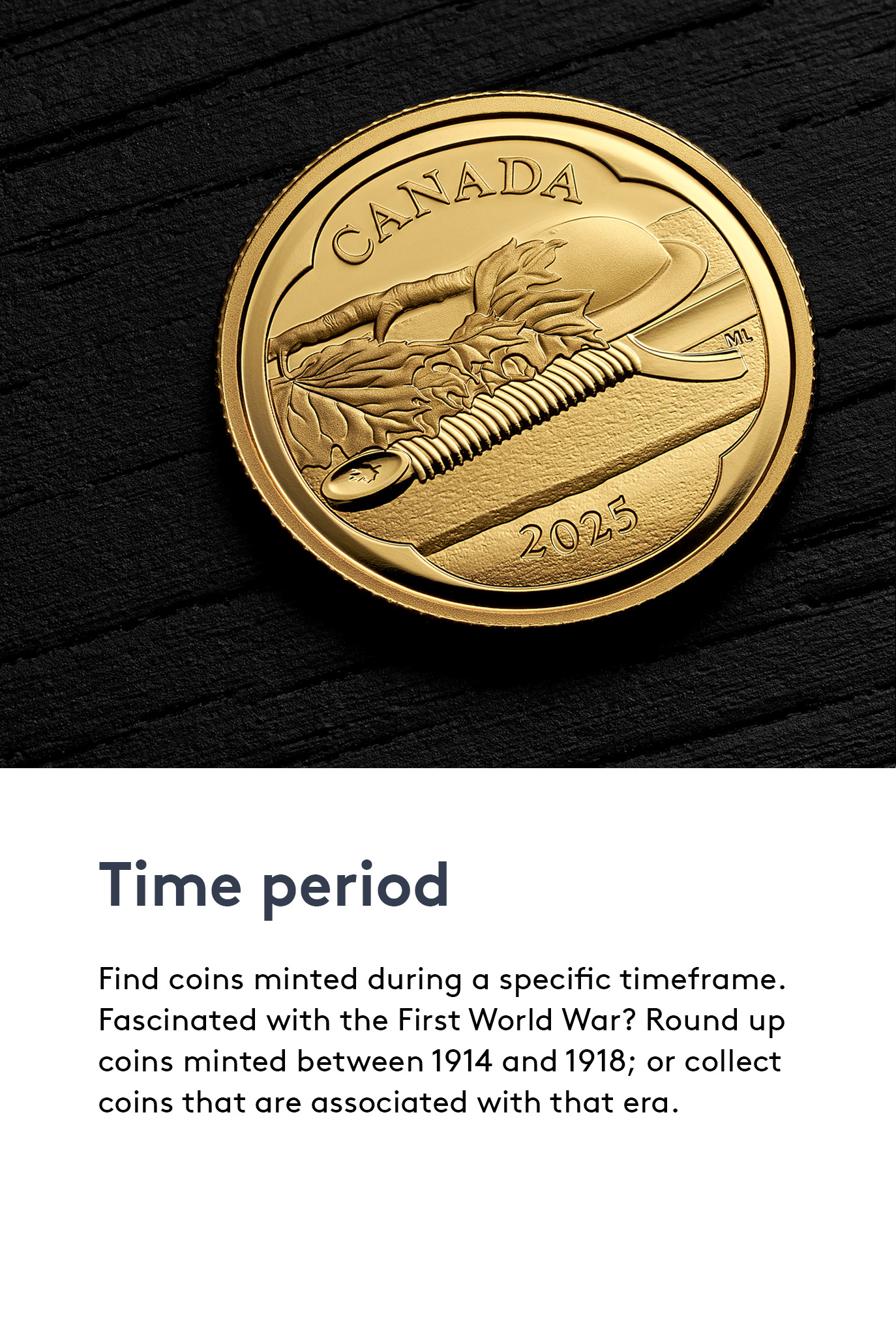 Tomb of the Unknown Soldier - Pure Gold Coin 