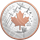 Fine Silver Proof Set – 100th Anniversary of the Royal Canadian Air Force