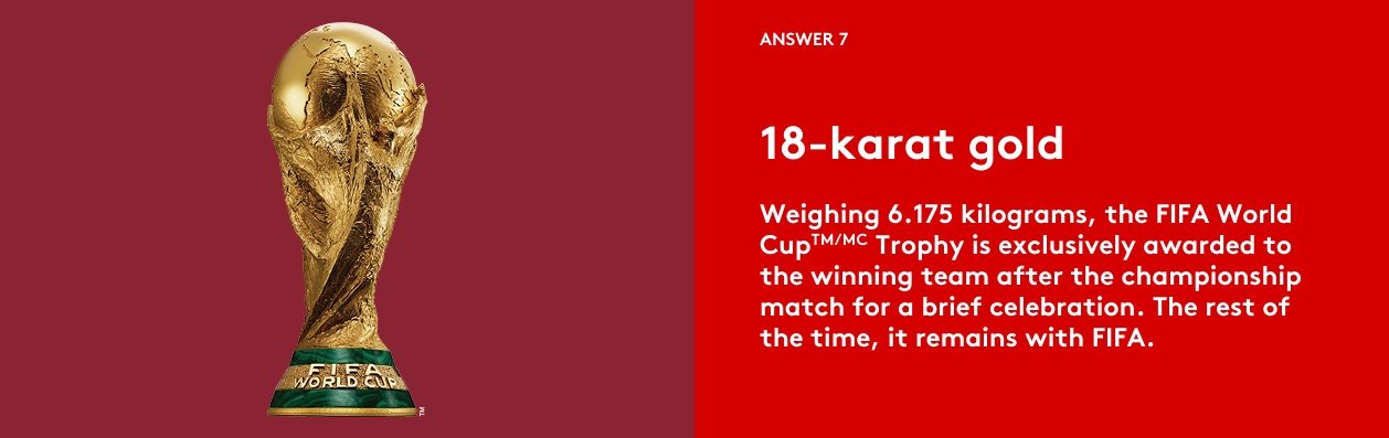 FIFA World Cup 2026ᵀᴹ Trivia Answer 7