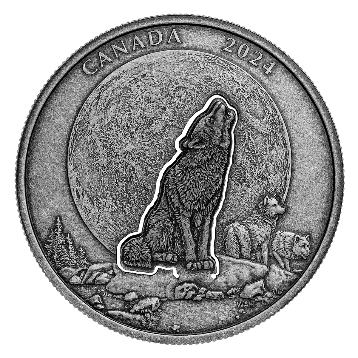 image image