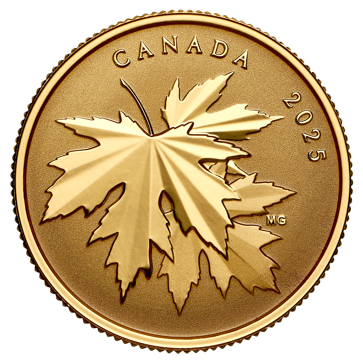 Gleaming Maple Leaves – ¼ oz. Pure Gold Coin