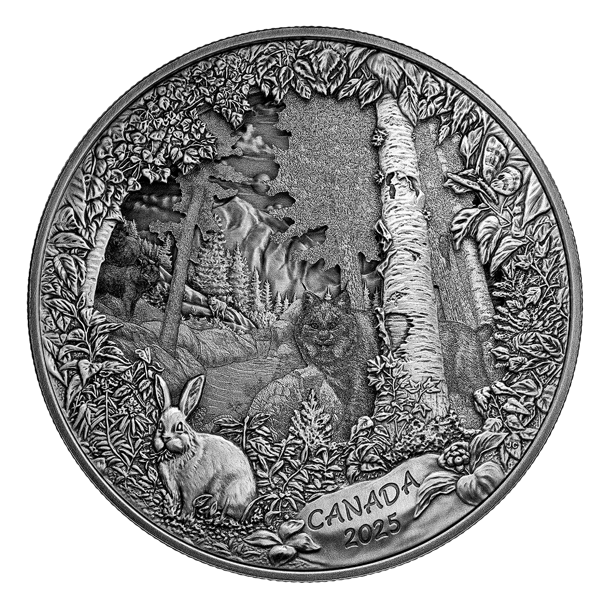 Predator or Prey in Shadow Box – Fine Silver Coin