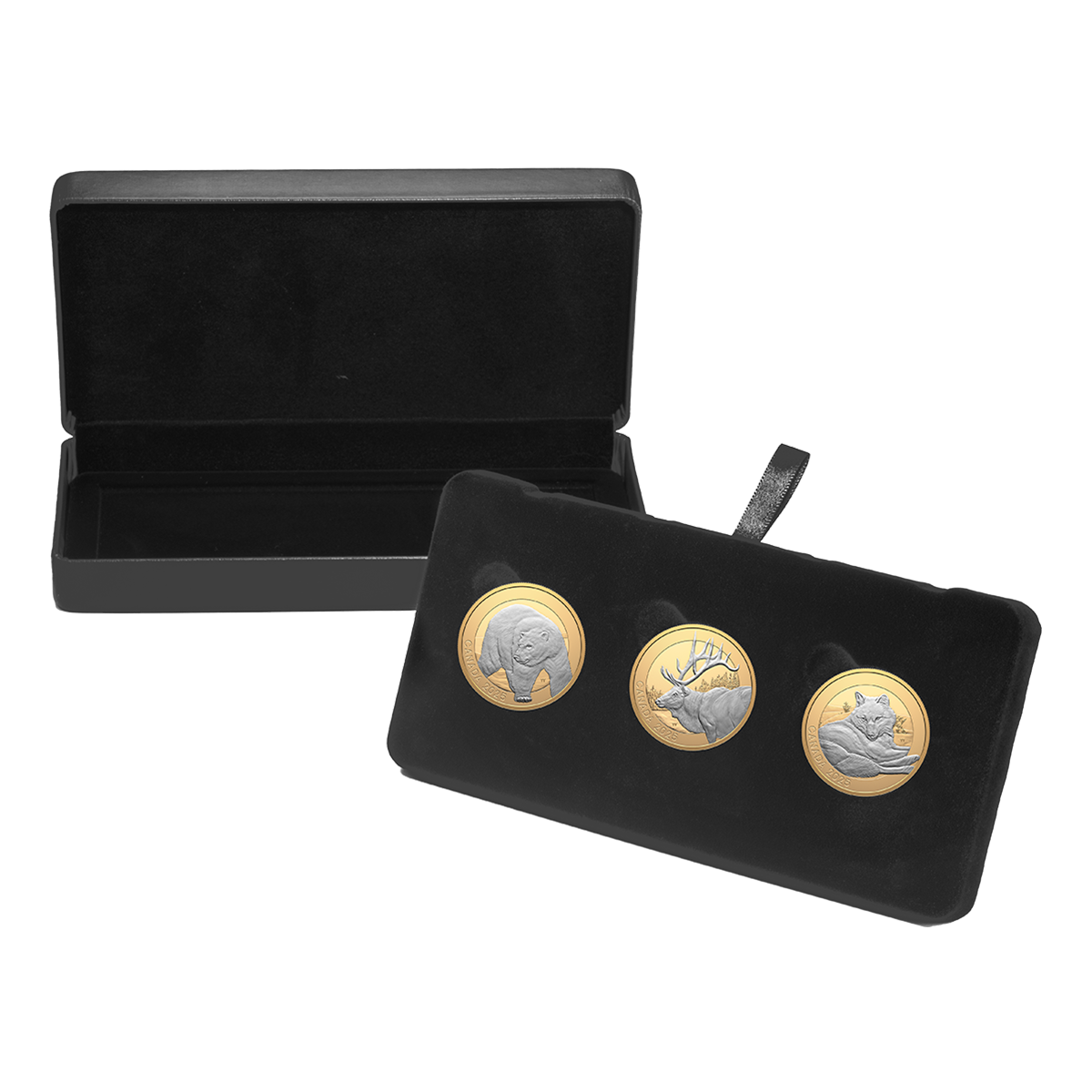 Animal Portraits – Fine Silver Three-Coin Subscription (2025)