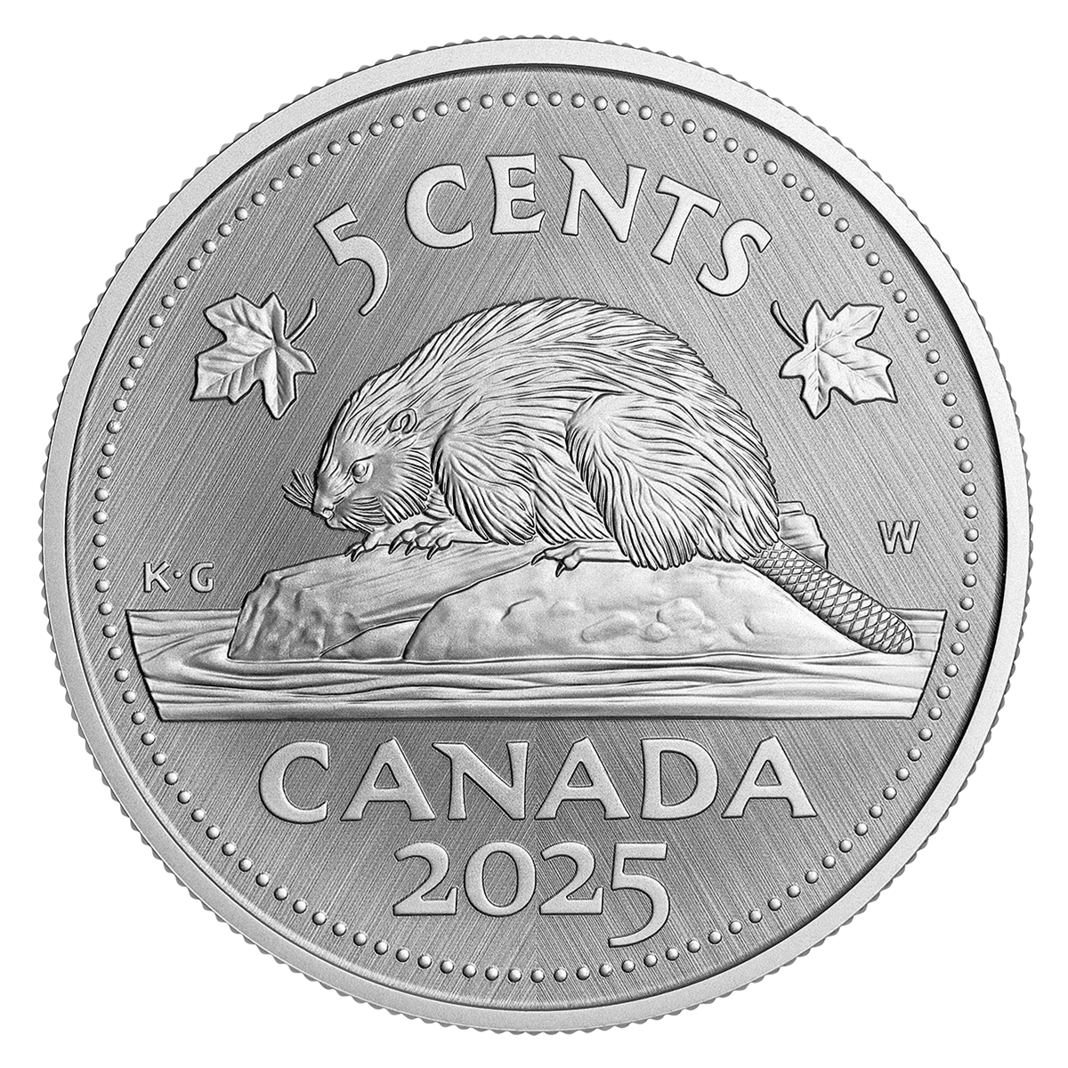 Beaver