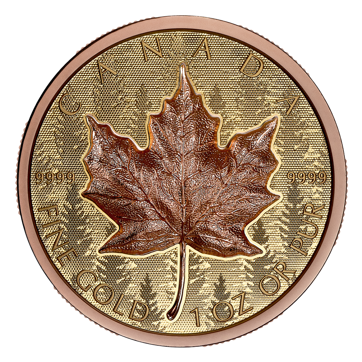 Gold Maple Leaf – Pure Gold Ultra-High Relief Coin (2025)