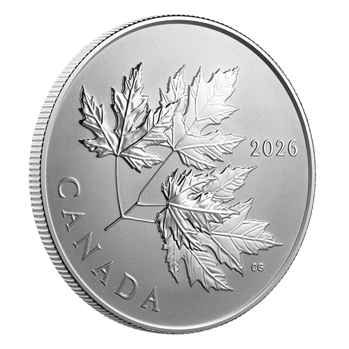 Angled reverse of Silver Coin