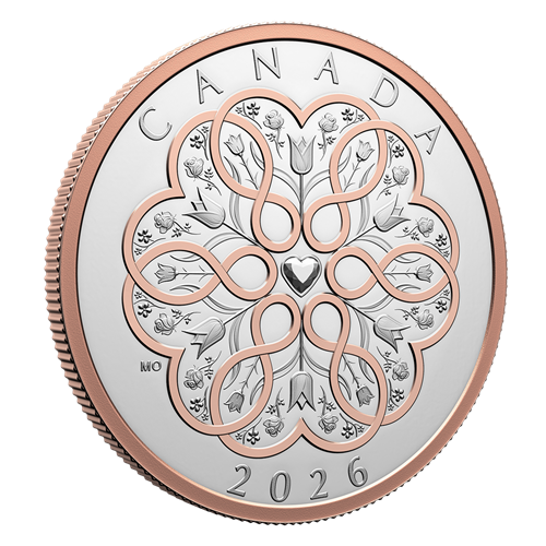 Angled reverse of Silver Coin