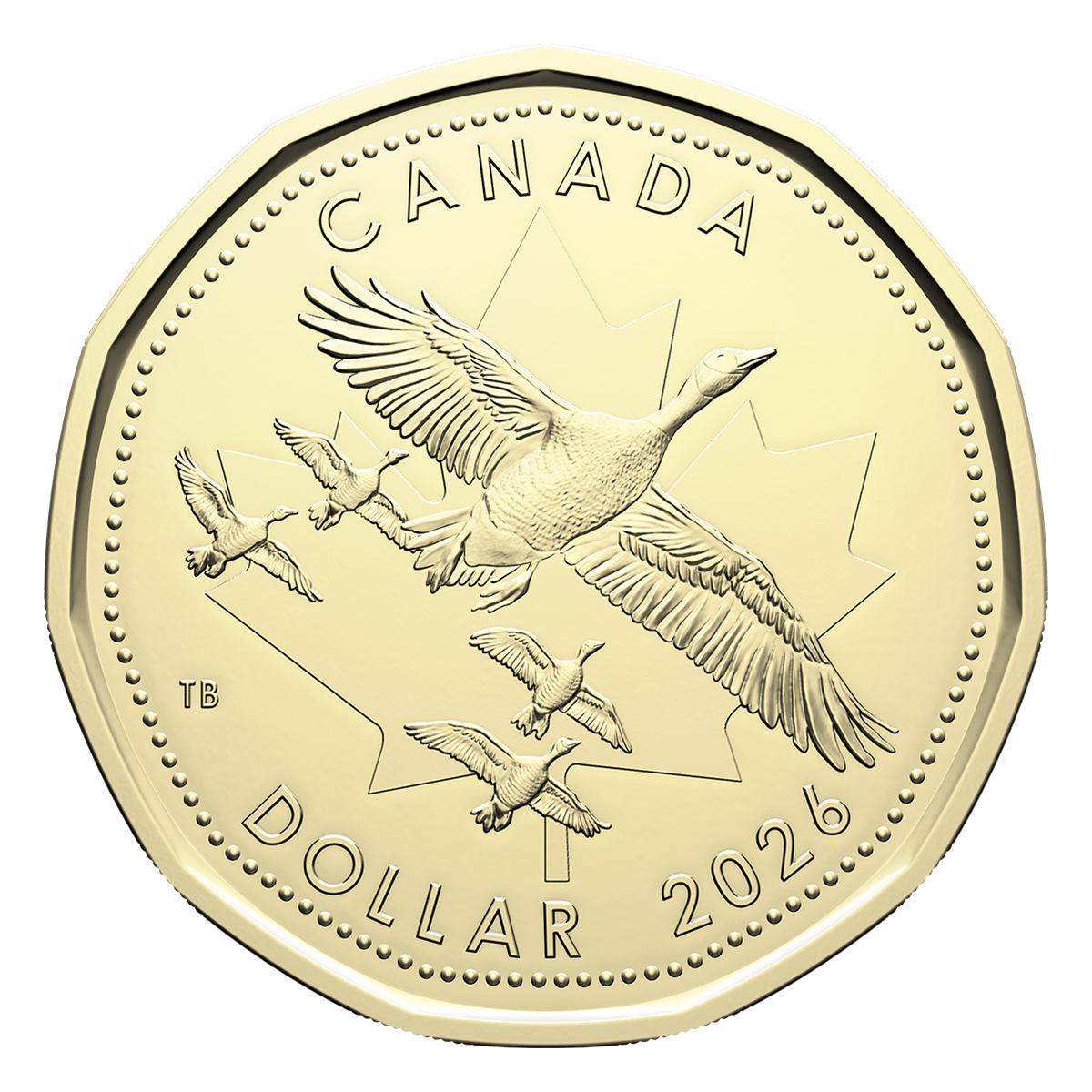 O Canada Gift Card Set (2026)