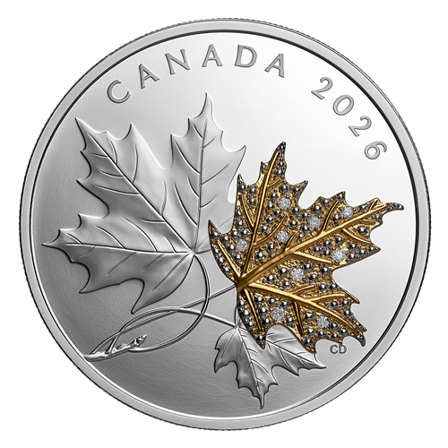 Reverse of Silver Coin