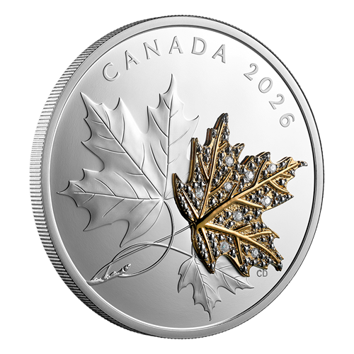 Angled reverse of Silver Coin