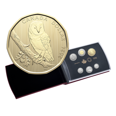 Specimen Set – Barn Owl (2026)