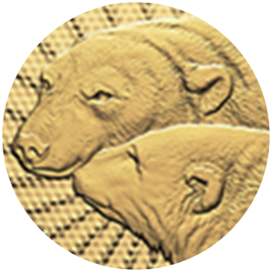 Close up of gold coin, privy mark of polar bears.